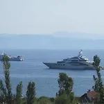 View Kolios
