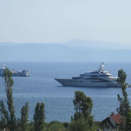 View Kolios